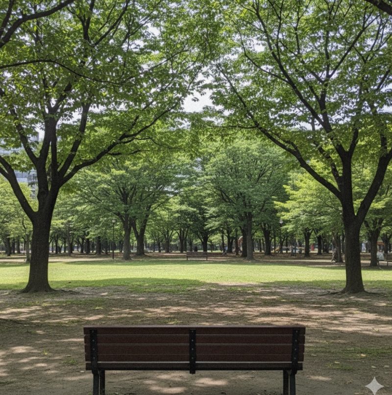 上戸彩 実家 地元 公園