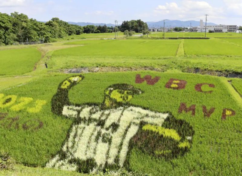 のどかな大谷翔平選手の生まれ故郷の岩手県奥州市の風景