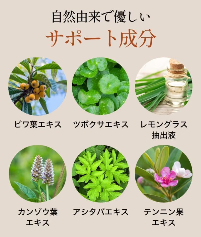 マイナチュレに含まれる天然由来の植物エキス（シャクヤク、チャ葉など）のイメージ画像