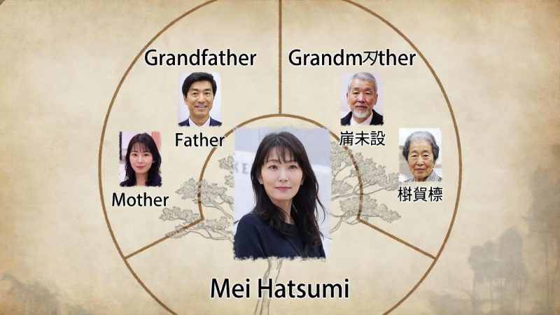 畑芽育さんのクォーターとしての家系イメージ