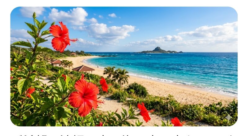 沖縄の青い海と真っ赤なハイビスカスの風景