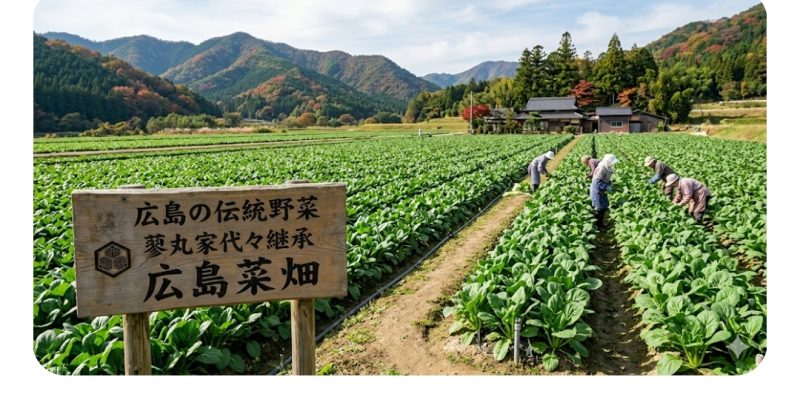 広島菜は野沢菜・高菜と並ぶ日本三大漬菜のひとつ。蓼丸家が代々守り続けてきた広島の伝統野菜です。
