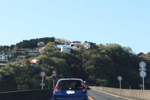 青い海を見下ろす高台に建つ広大な高級邸宅